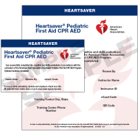 Heartsaver pediatric CPR firstaid AED class