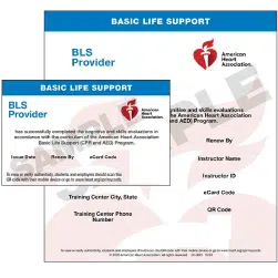 American Heart Association BLS certification card – Safety Training Seminars
