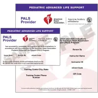 pals card